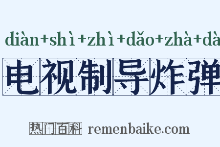 电视制导炸弹是什么意思的图片
